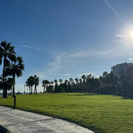 Terrea Sole Apartamento
