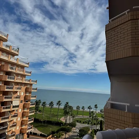 Terrea Sole